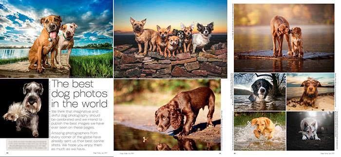 Magazine publication of Sarah Lewis photos