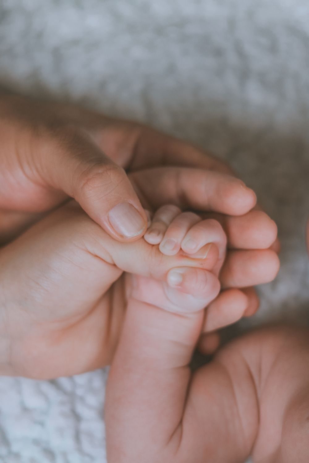 Newborn
