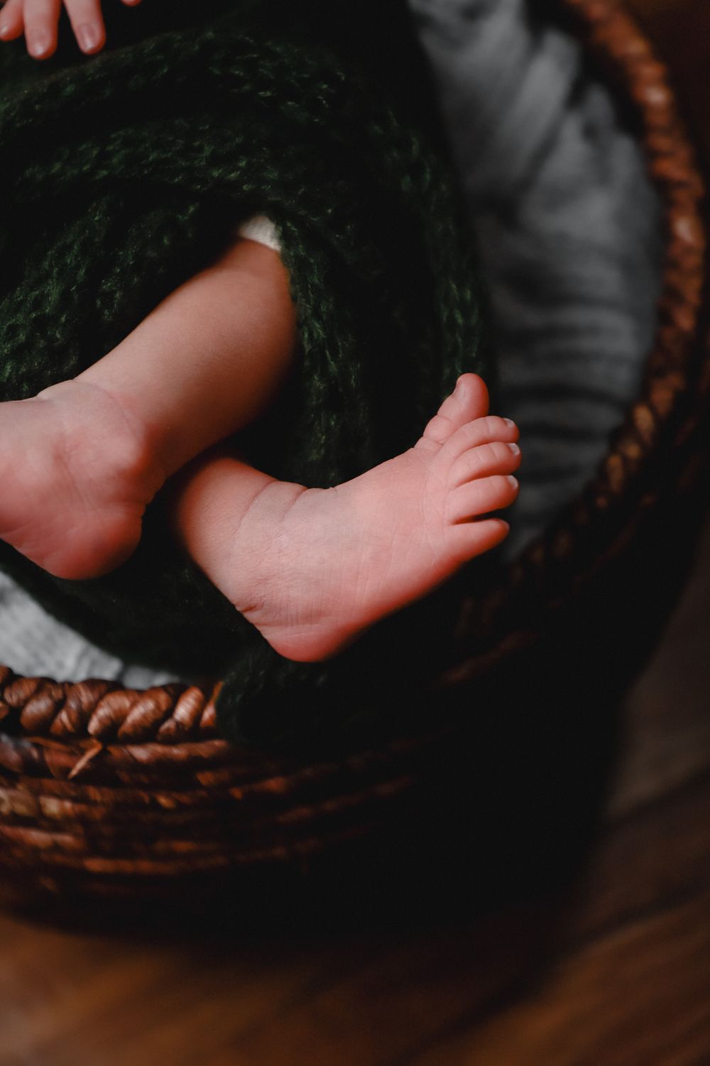 Newborn