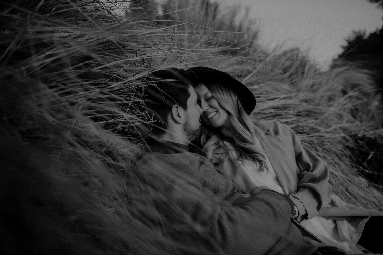 Dried wheat stalks swaying in dramatic black and white lighting.