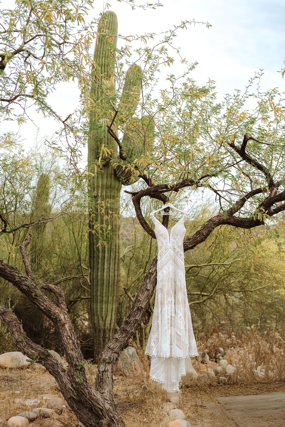 The bride's intricately textured wedding dress hangs from a tree on a custom hanger sporting her new last name