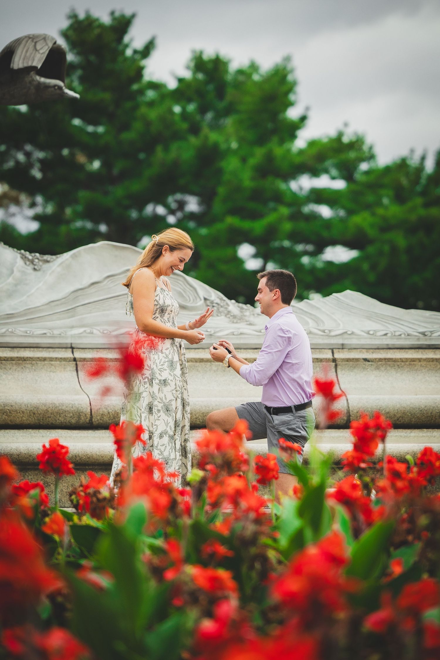 Man proposes on one knee to woman near fountain with red flowers in foreground in washington dc
