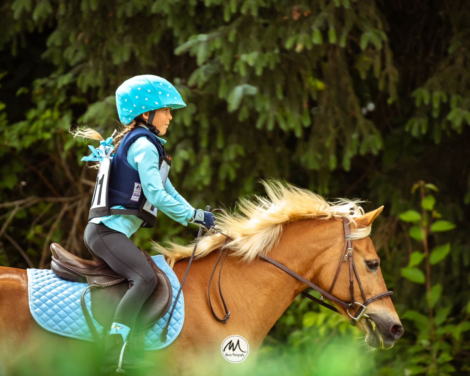 Equestrian rider in black jacket and helmet on horseback at a show jumping competition with red poles and flags.