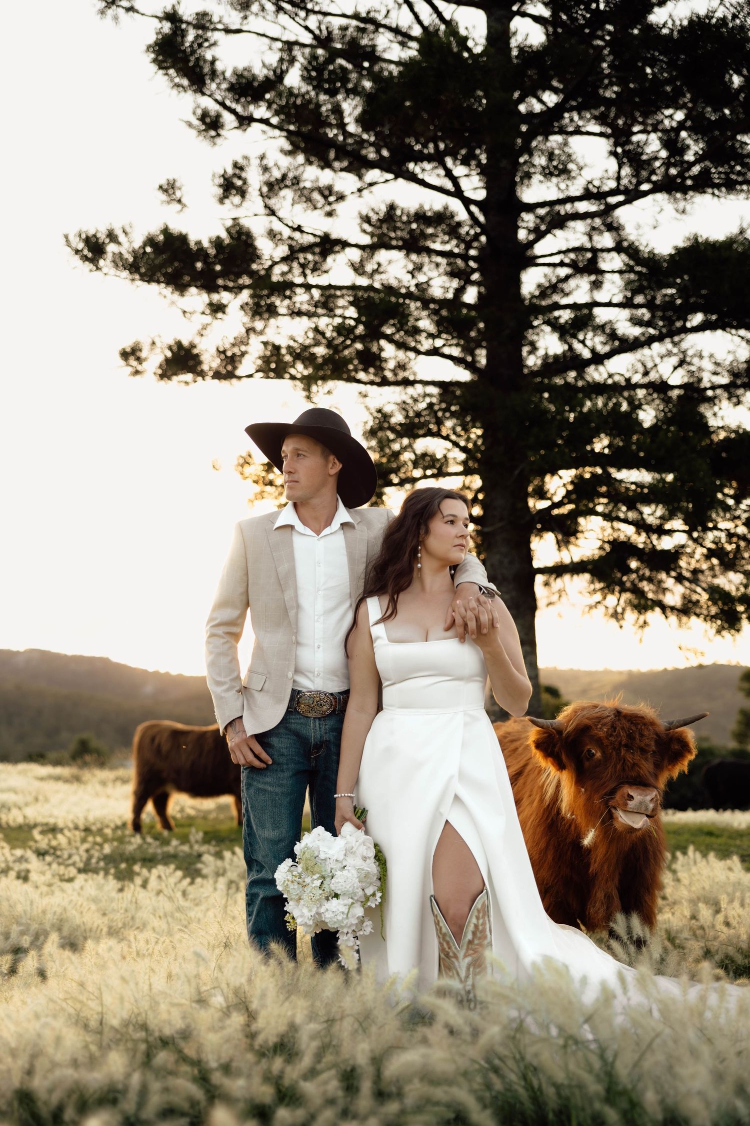 Bride and groom in western attire pose with Highland cattle in a sunlit field, creating a rustic wedding portrait.