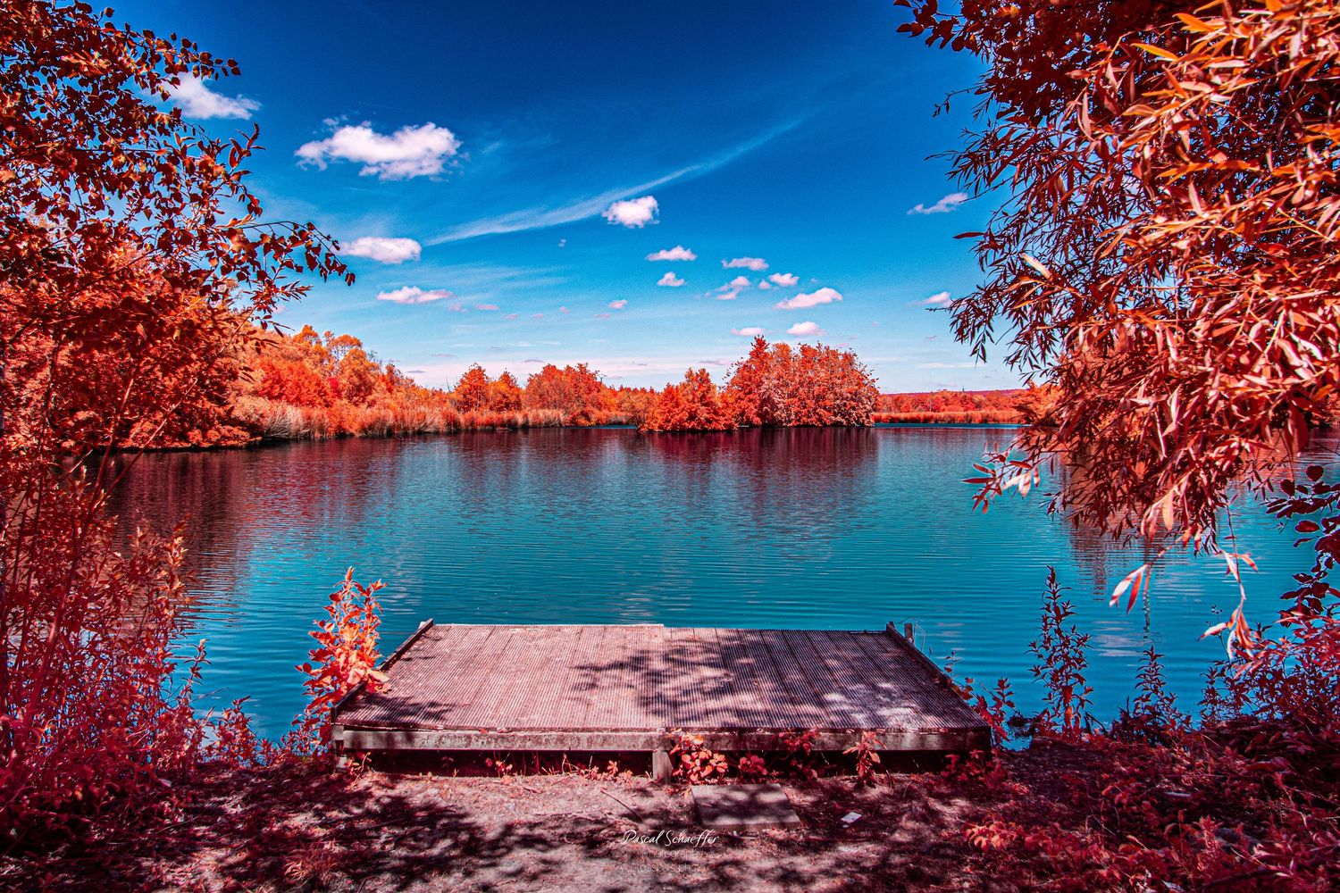 Sepia-toned infrared photo of bare tree beside a flowing river in nature.