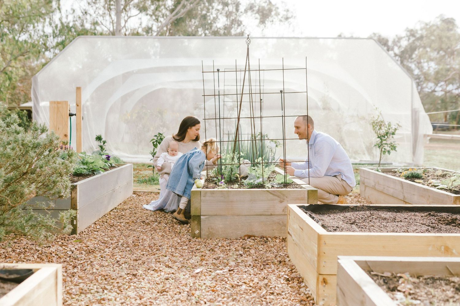 Couple talking and relaxing among wooden raised garden beds in a lush backyard greenhouse setting.