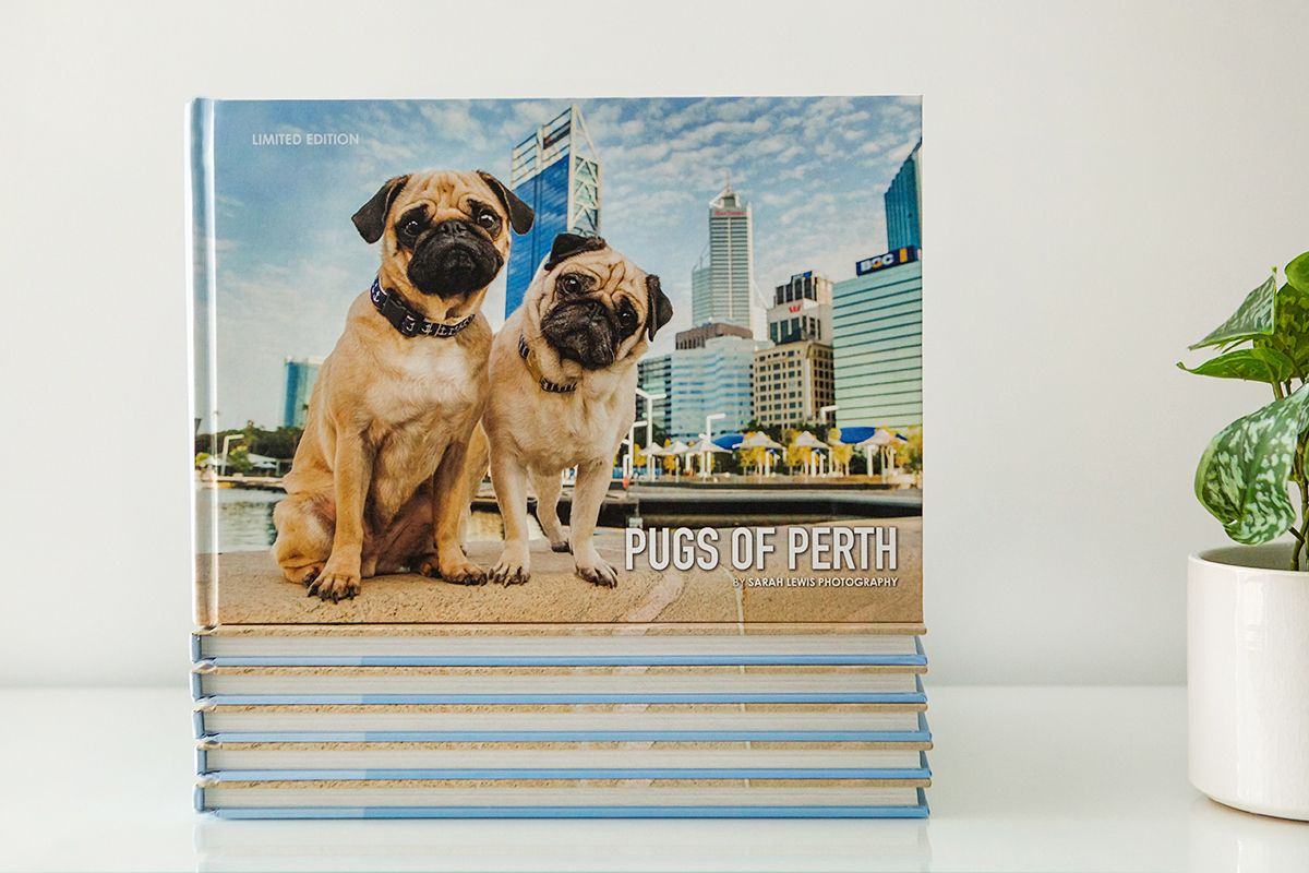 Pet Photography coffee table books published by Perth Pet Photographer, Sarah Lewis.