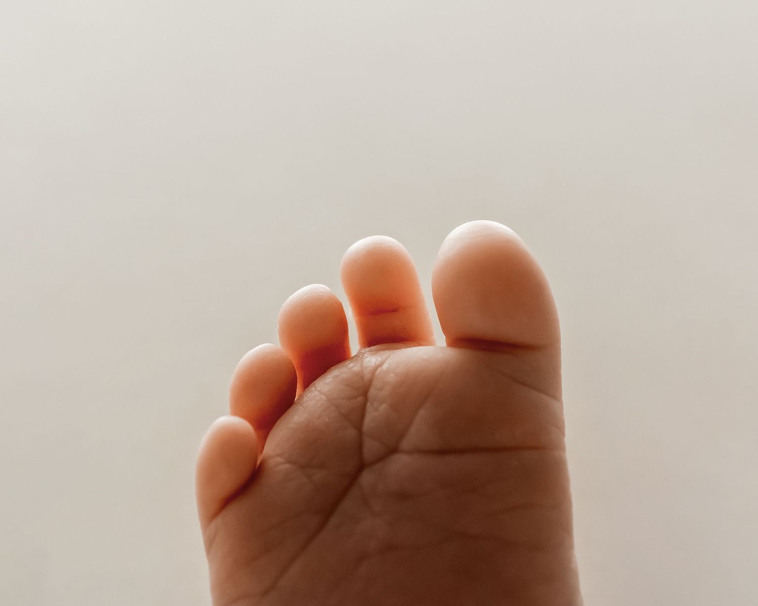 Close-up newborn foot photographed in nelson
