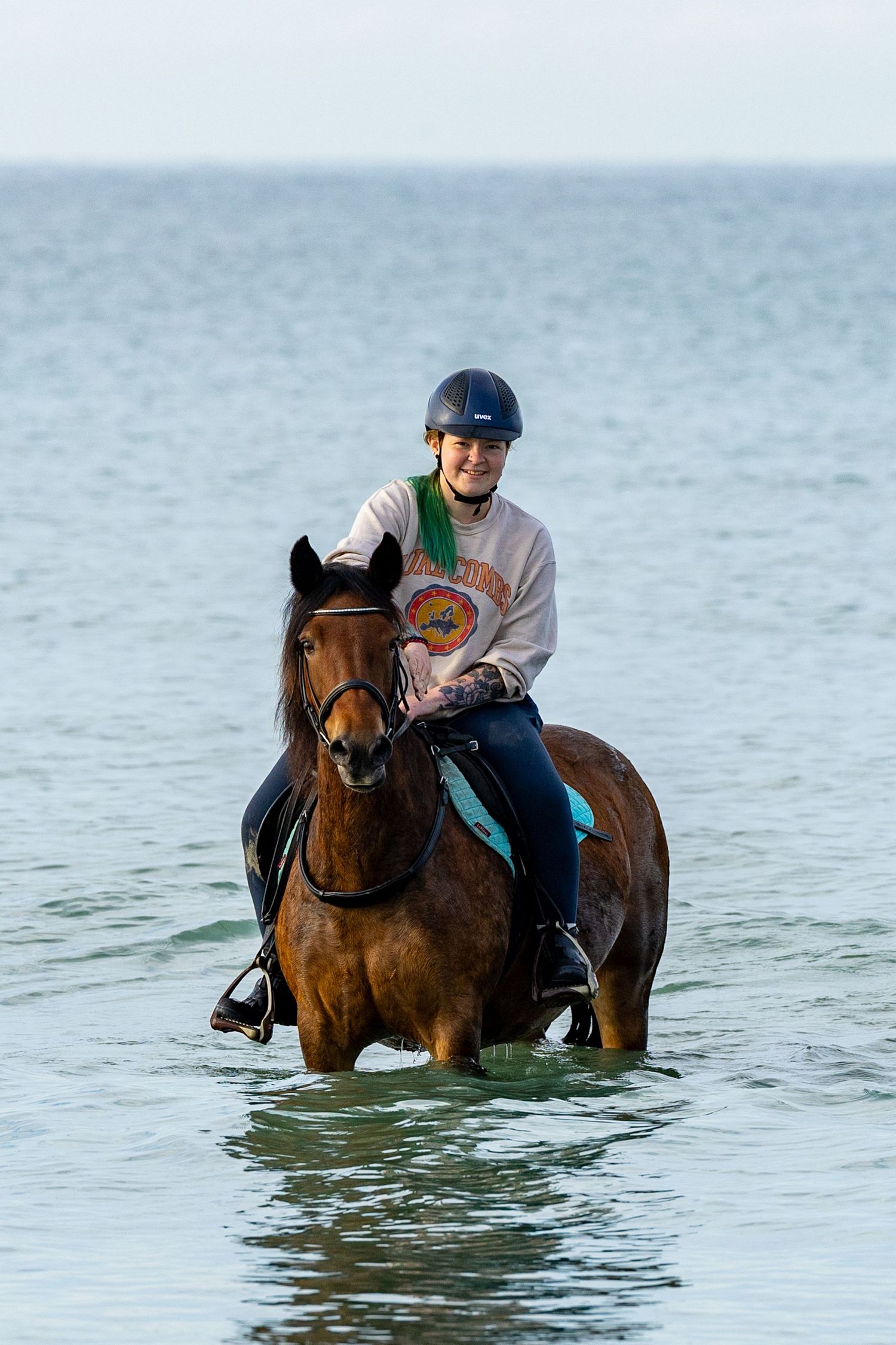 horse photography