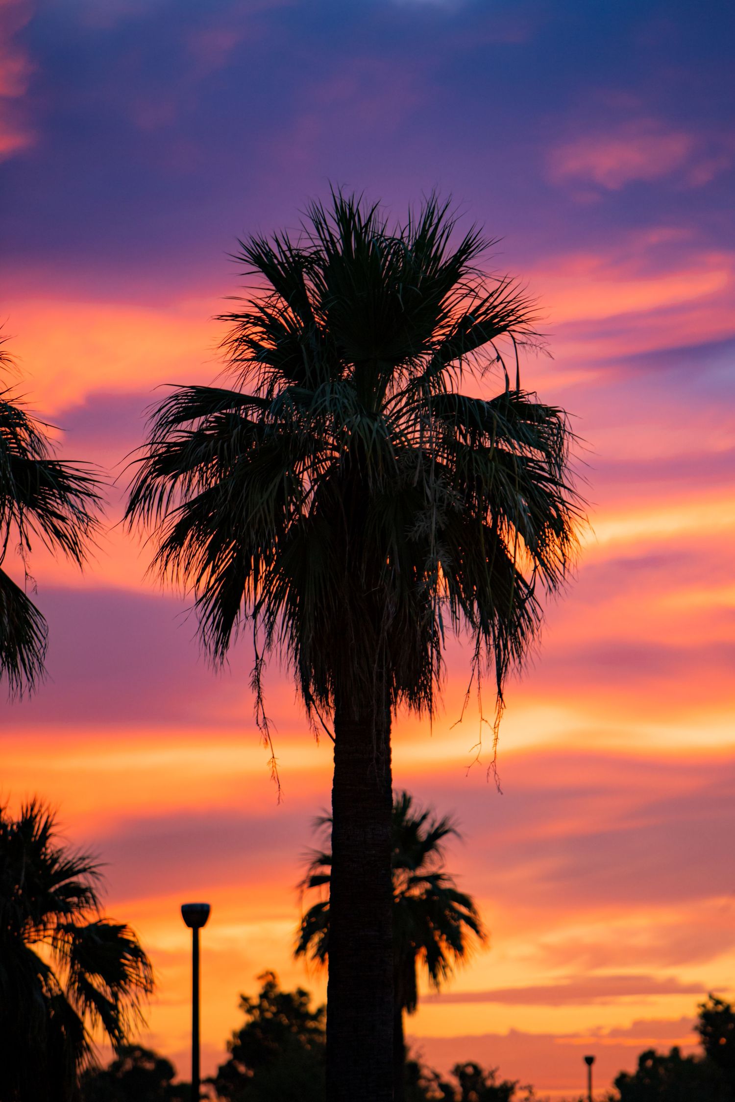 Phoenix, AZ - Landscape Photography by Kaeden Indelicato