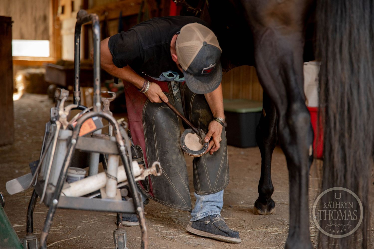 Close-up of farrier tools and horse hoof maintenance in stable environment.