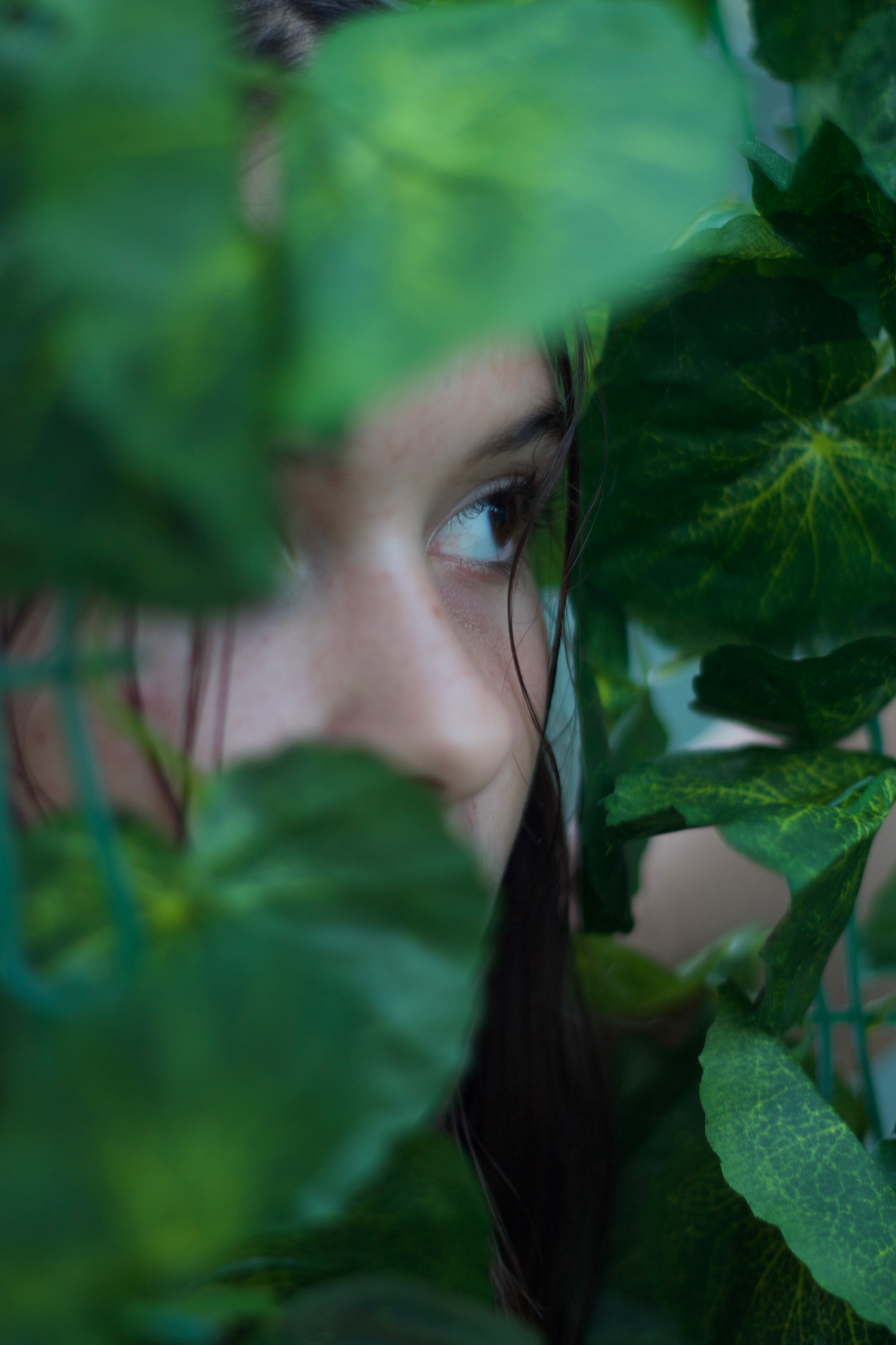 Artistic portrait through green leaves creating a natural framing effect.