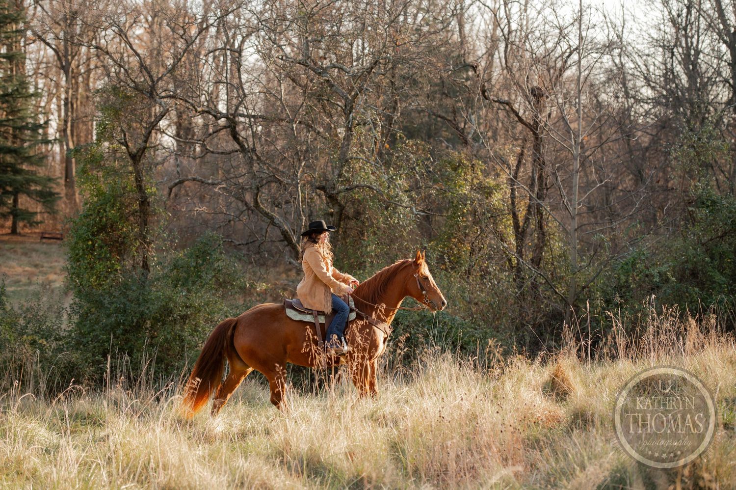 A lone rider on horseback moves through autumn grassland at edge of wooded area.