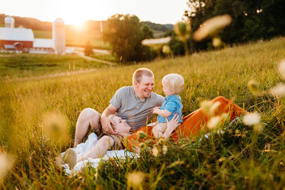 A peaceful moment in a sunlit meadow with farm buildings in the background.