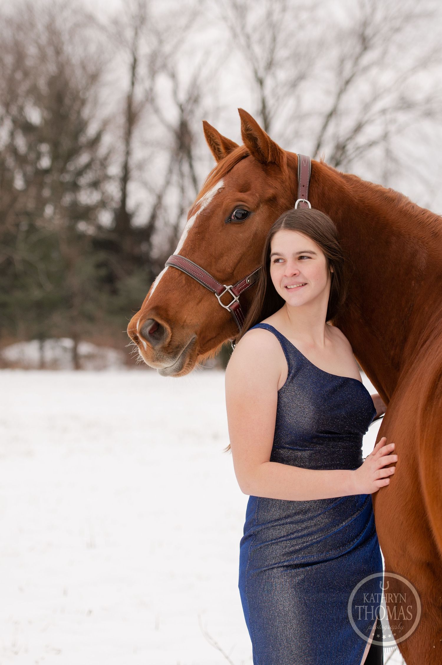 A person in a blue dress stands next to a beautiful chestnut horse in the snow.