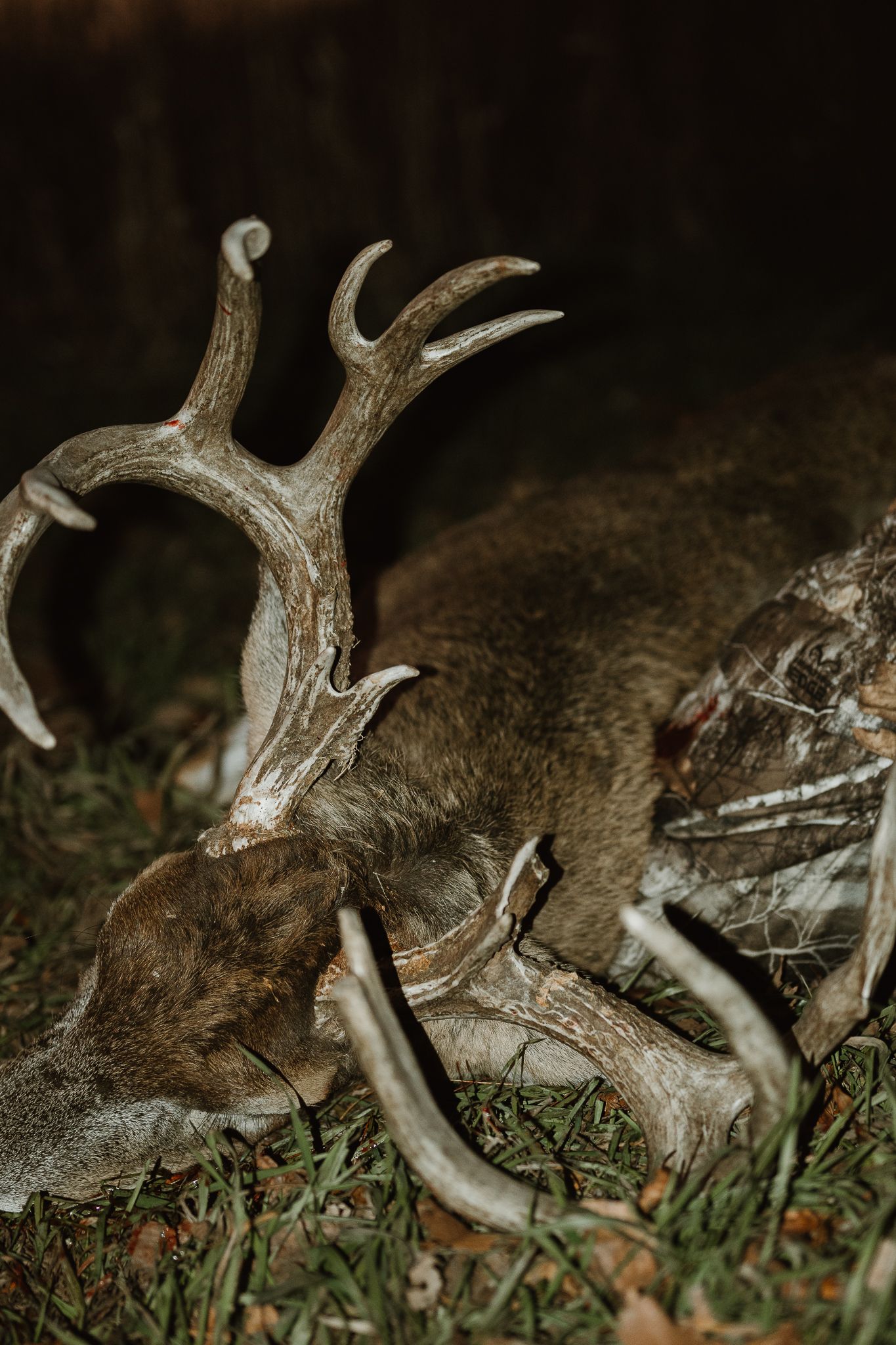 Hunting Photographer Wichita, Kansas