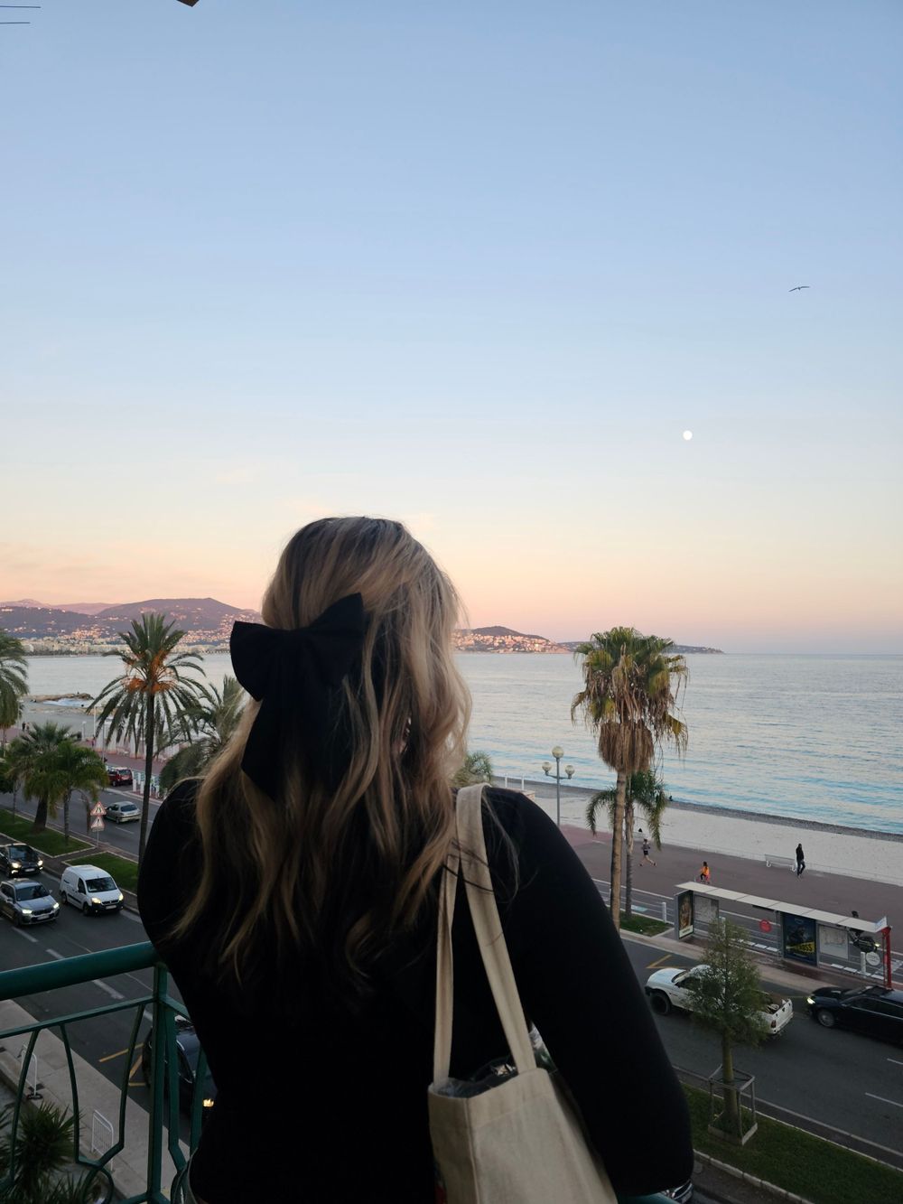 Person overlooking a coastal beach scene with palm trees at sunset.