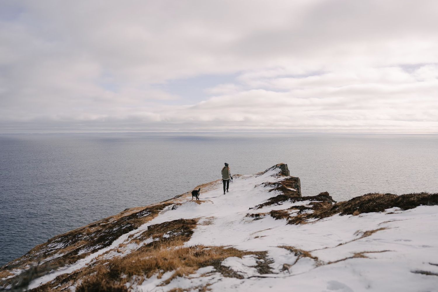 A girl and her dog stand on a snowy coastal cliff overlooking the vast ocean under cloudy winter skies.