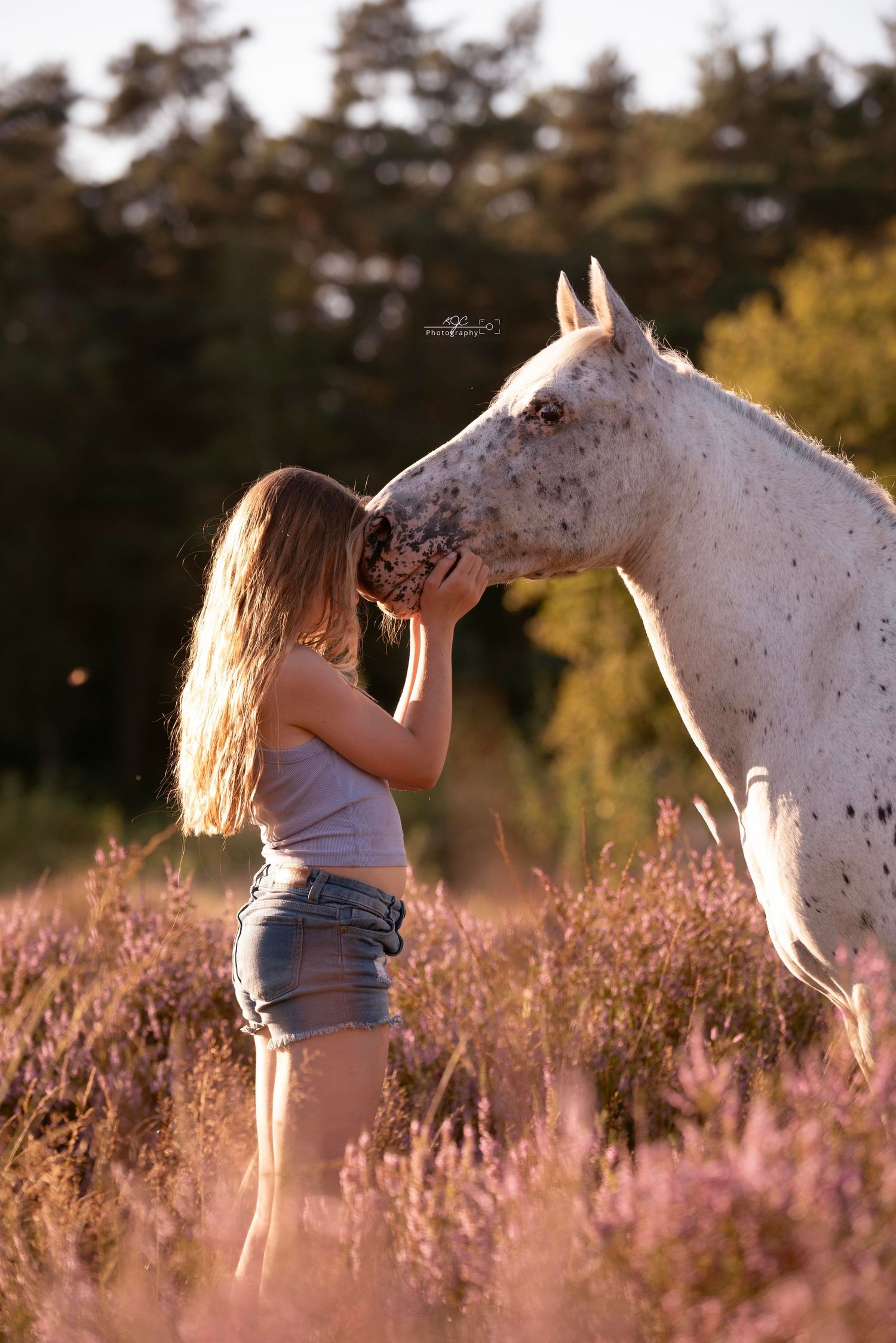 Romantische paardenfotografie in Gelderland, ideaal voor een onvergetelijk paardenportret