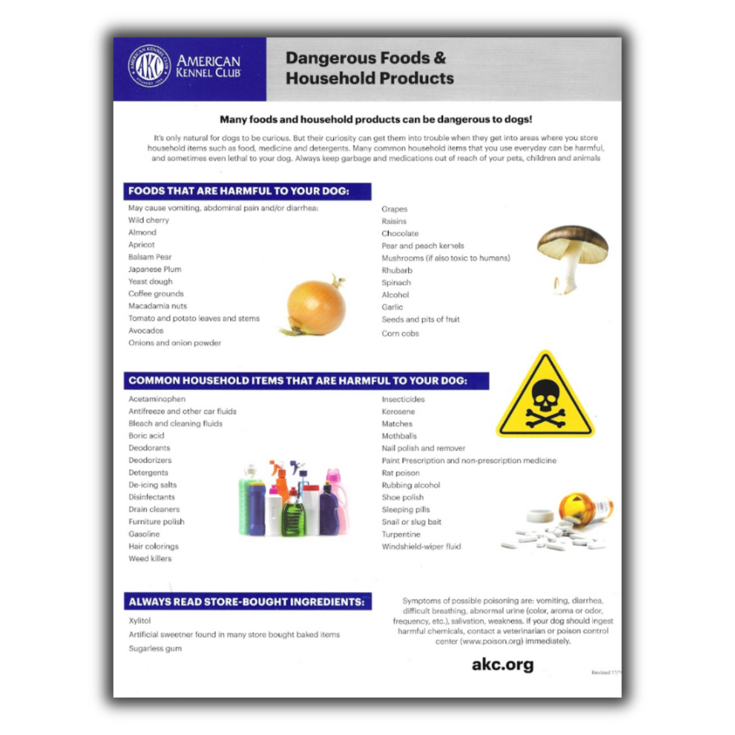 American Kennel Club informational sheet listing dangerous foods and household products for dogs.