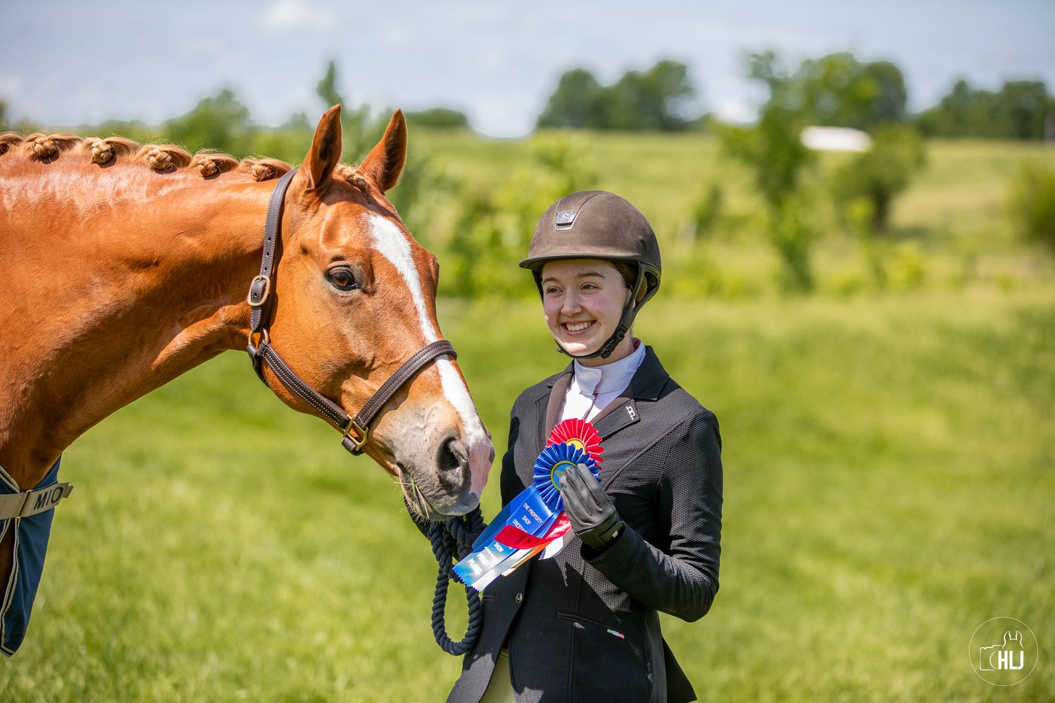 An equestrian shows off a blue and red competition ribbon alongside their chestnut horse in a sunny grassy field.
