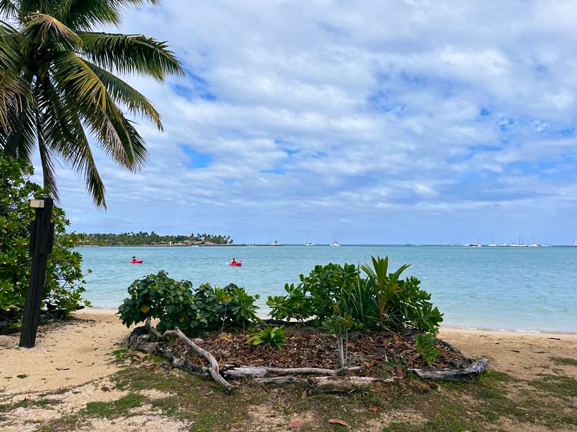 Tropical beach landscape with palm trees, turquoise water and boats in the distance.
