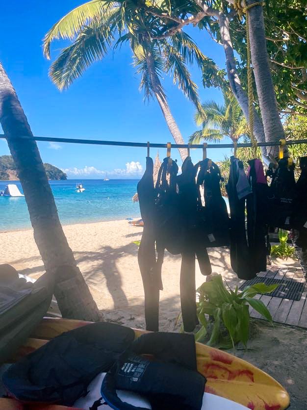 Wetsuits hanging to dry on a clothesline between palm trees on a tropical beach.