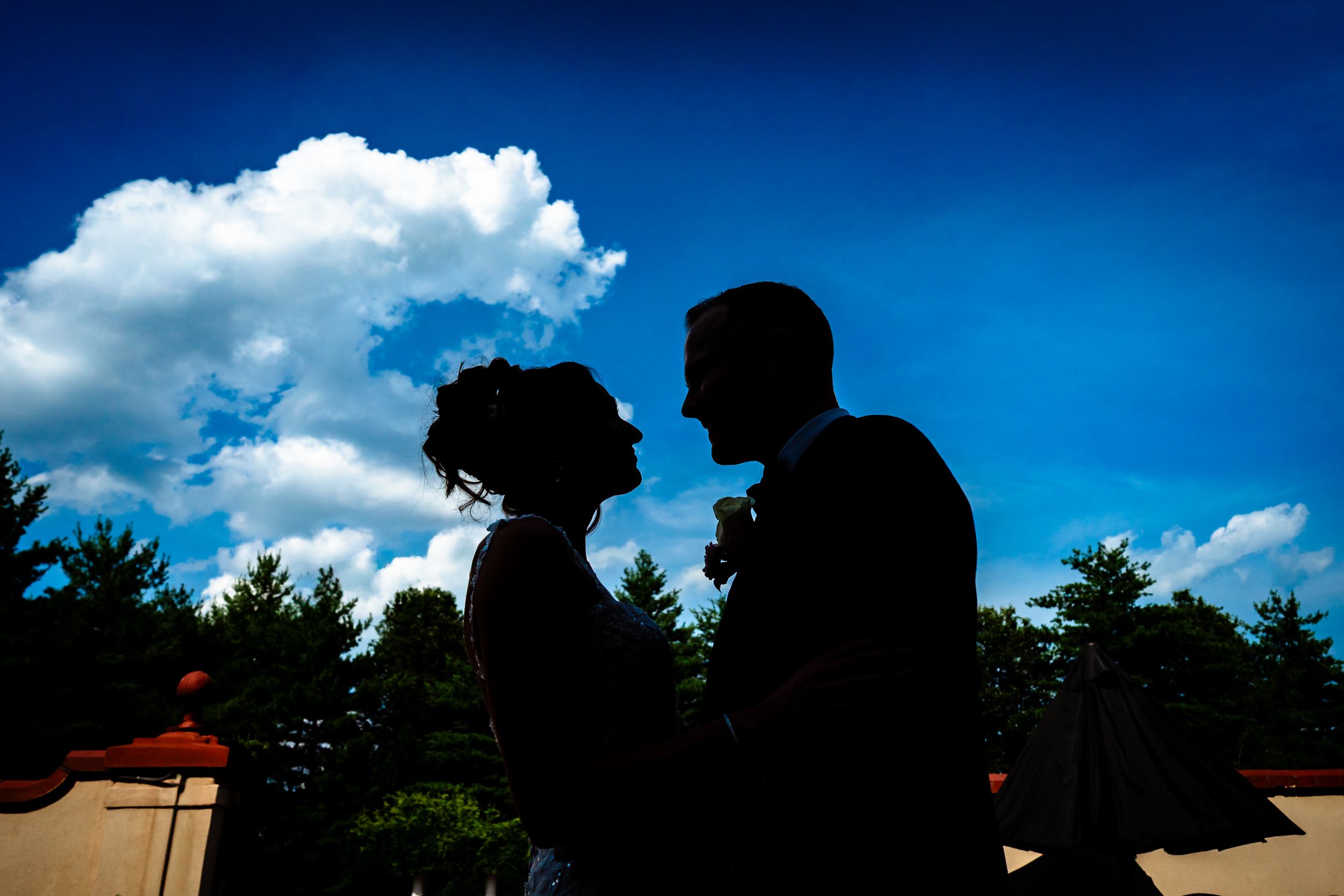 Silhouettes of wedding party against vibrant blue summer sky.
