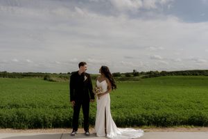 A panoramic wedding photo capturing newlyweds surrounded by endless green fields under cloudy skies.
