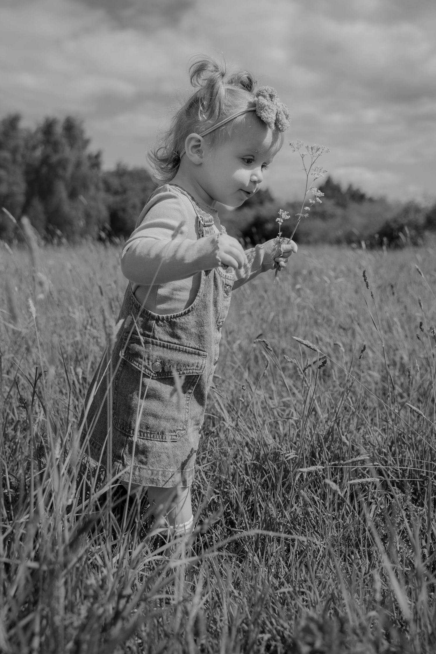 A toddler exploring a field of long grass, holding a wildflower close to her face, lost in curiosity during a natural outdoor family session