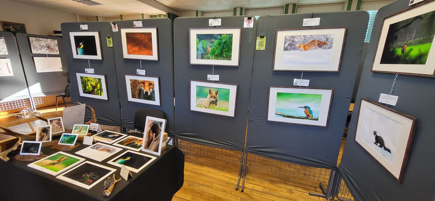 Art gallery exhibition space displays framed nature photographs on gray walls with a table of prints in the foreground.
