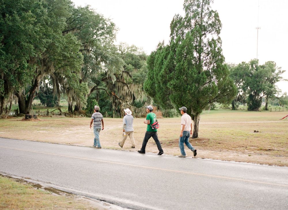 Five people walk in single file across a paved road surrounded by green trees in a park setting.