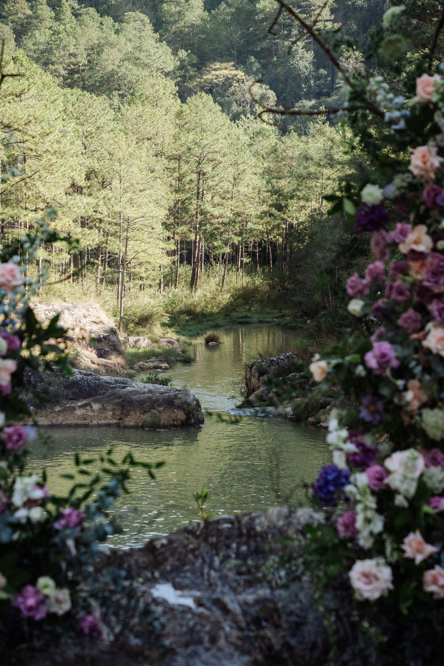 Romantic forest stream framed by pink and purple blooms with sunlit pine trees in background.