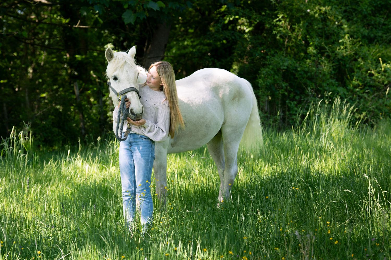 A donkey stands in a misty field while a child with a flowing green scarf reaches out to pet it.