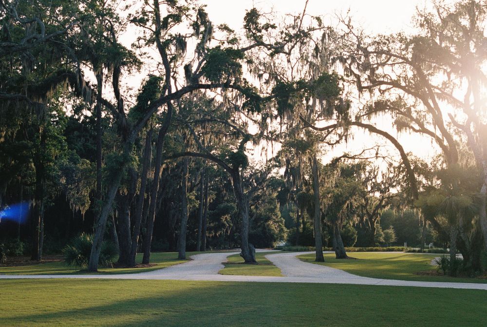 Sunlight filters through Spanish moss hanging from live oak trees along a winding path in a serene Southern landscape. Saint Simmons