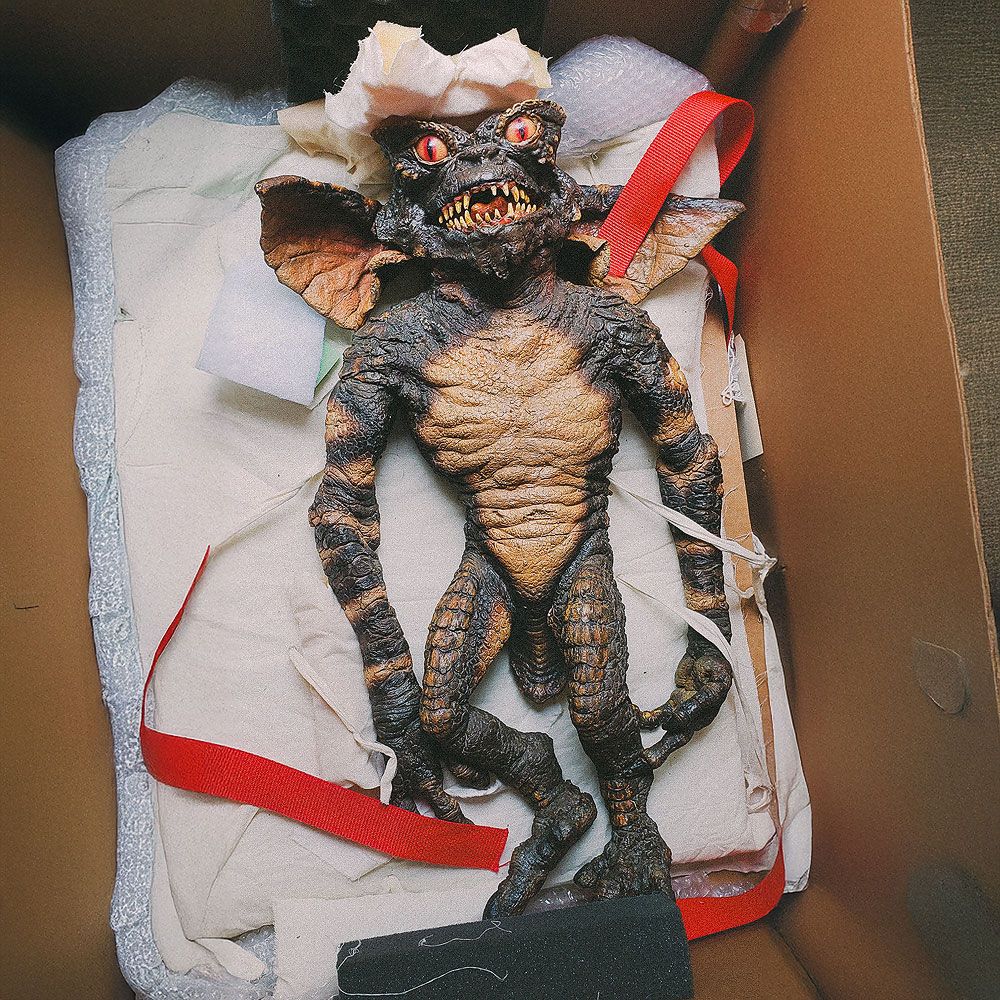 Gremlin being transported in a box
