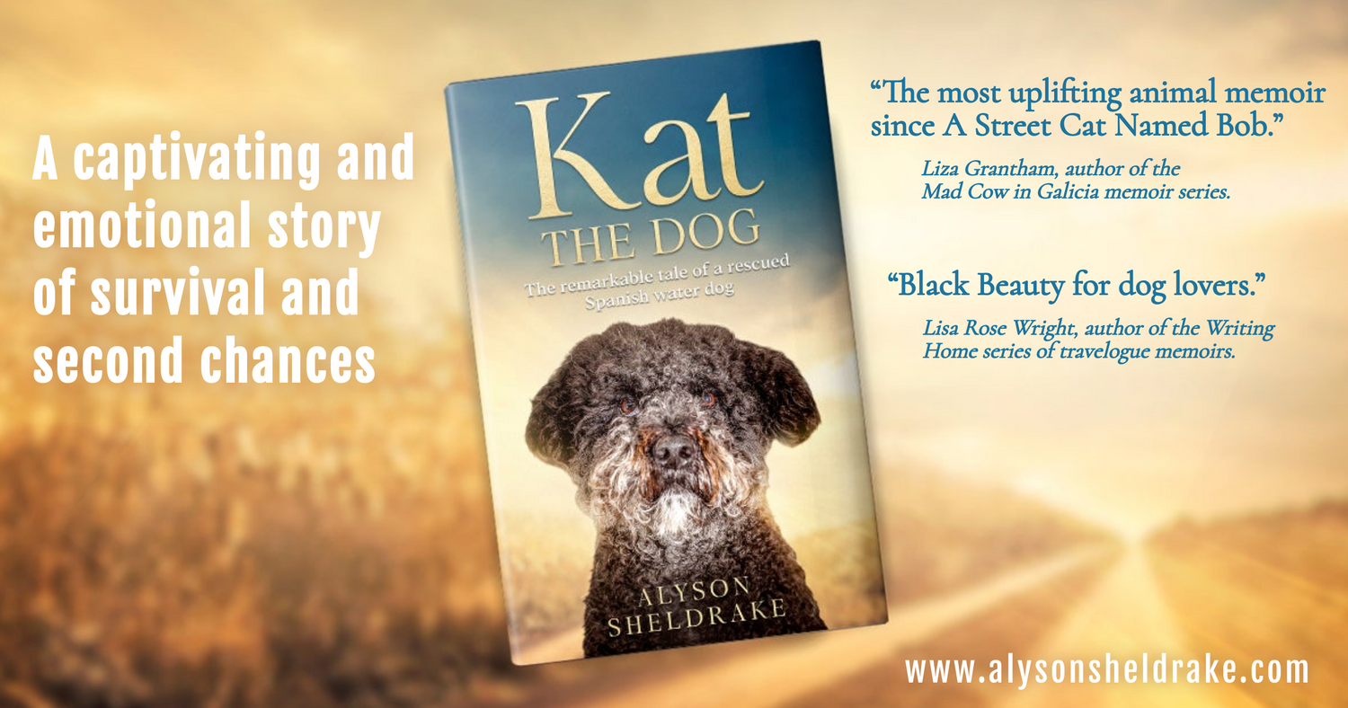 Kat the Dog book by Alyson Sheldrake with praise quotes calling it the most uplifting animal memoir since A Street Cat Named Bob.