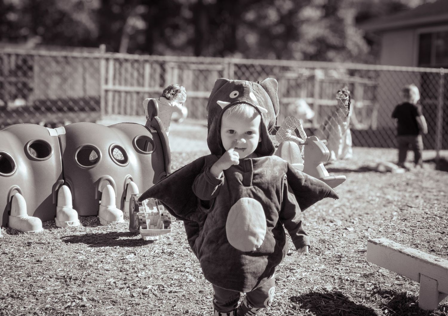Halloween and Holidays photos Hampstead NC