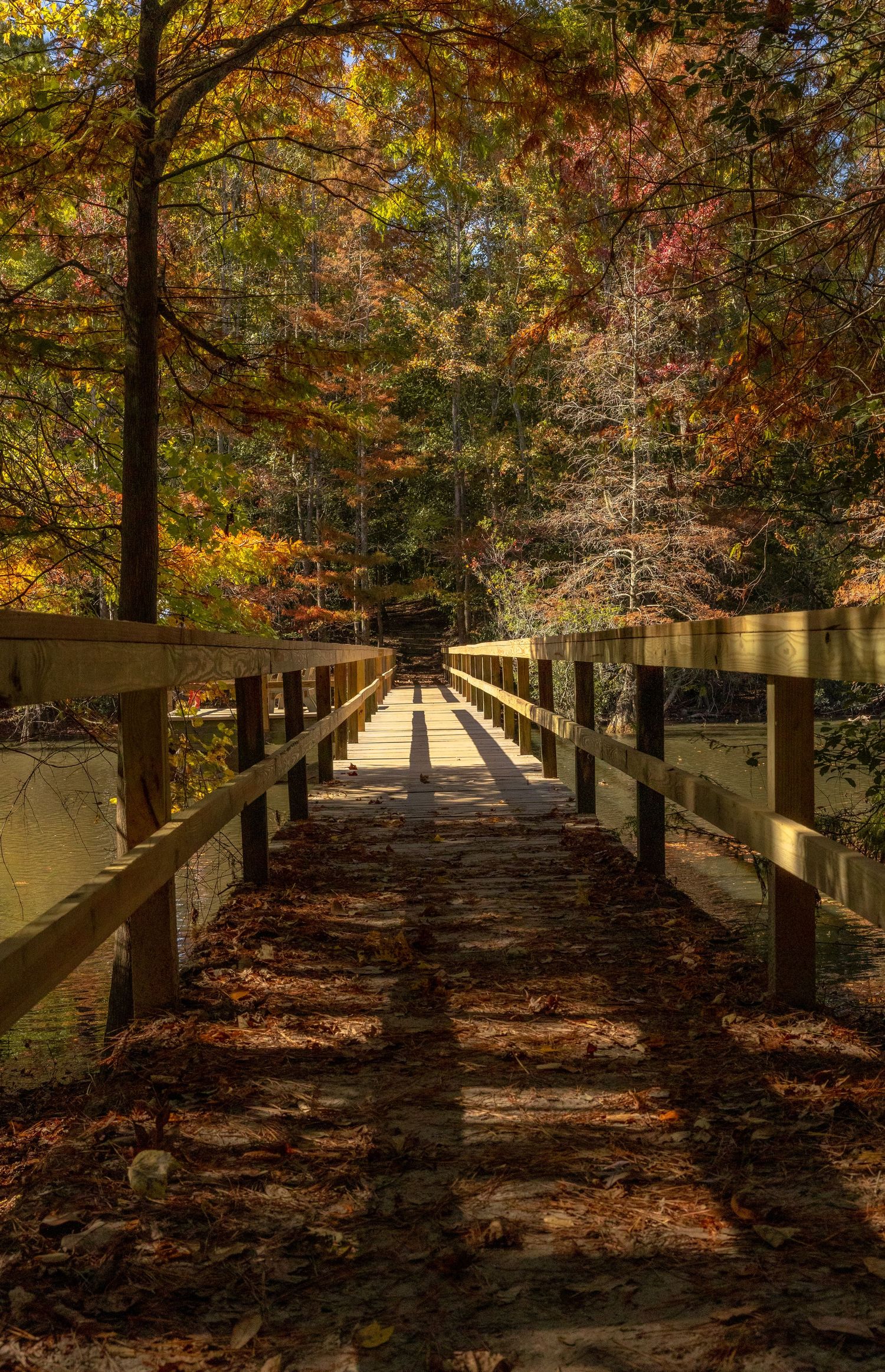 Wilmington landscape photography