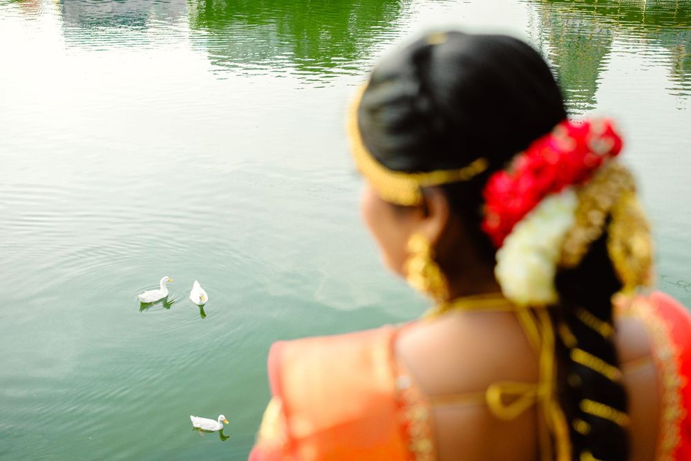 A person in an orange life vest watches ducks swimming in a tranquil green pond on a summer day.