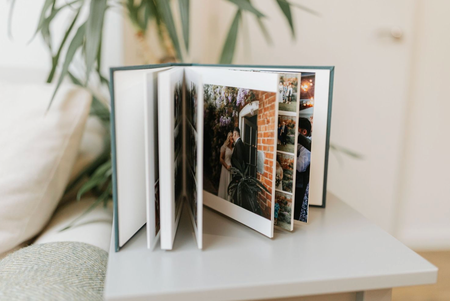 An open photo album with printed photographs displayed on a light gray surface next to a green plant.