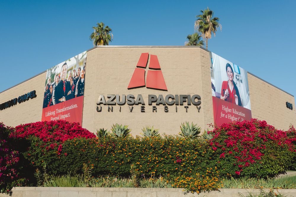 A series of retail storefronts with palm trees and yellow flowers in the foreground against a bright blue sky.