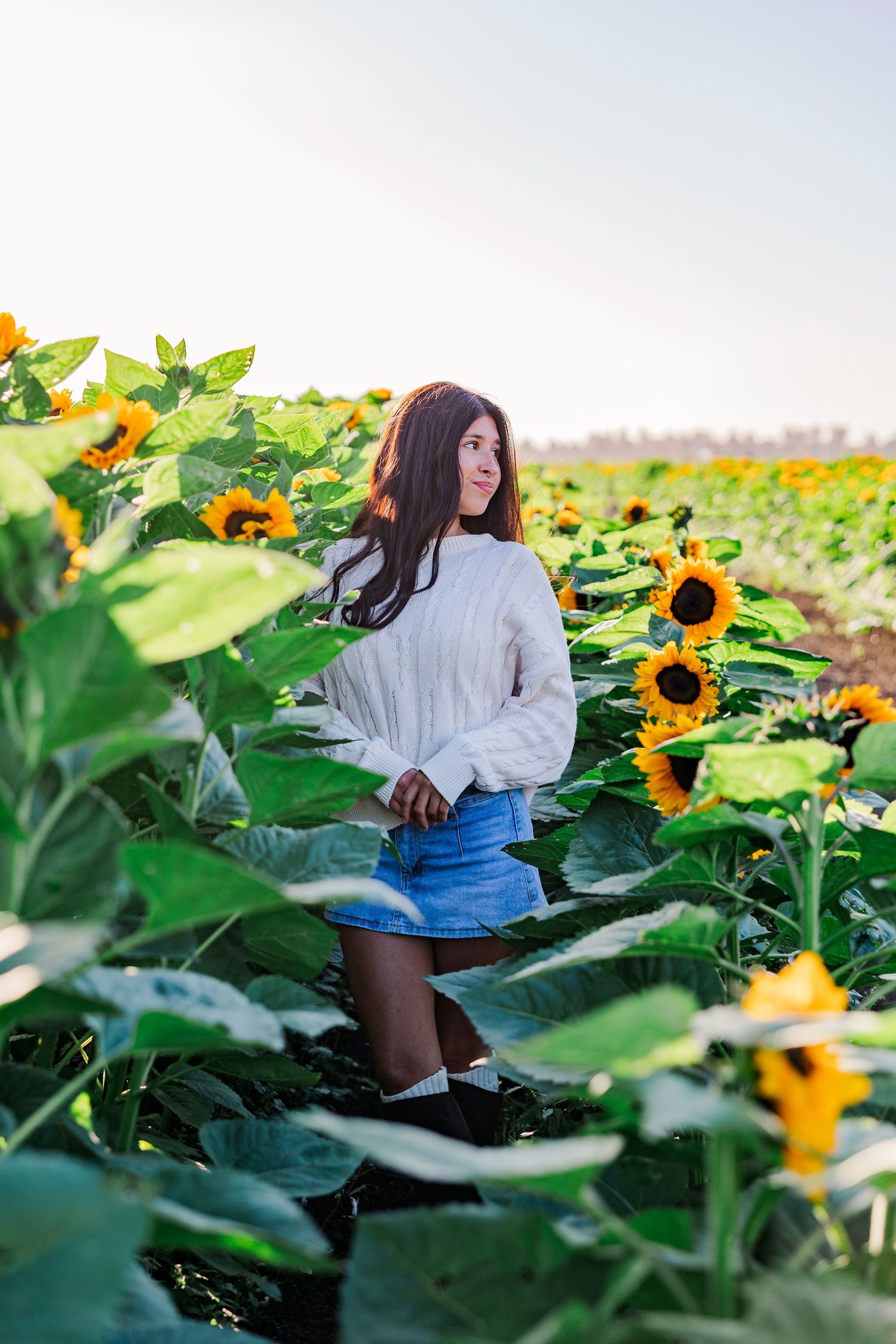 A person in a white sweater and denim skirt poses in a vibrant field of blooming sunflowers on a sunny day.