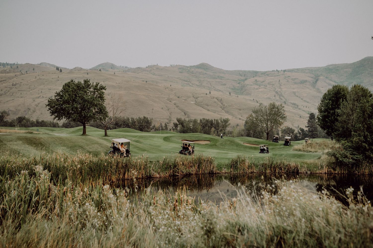 A panoramic view of rolling green hills and scattered trees in a rural landscape during springtime.