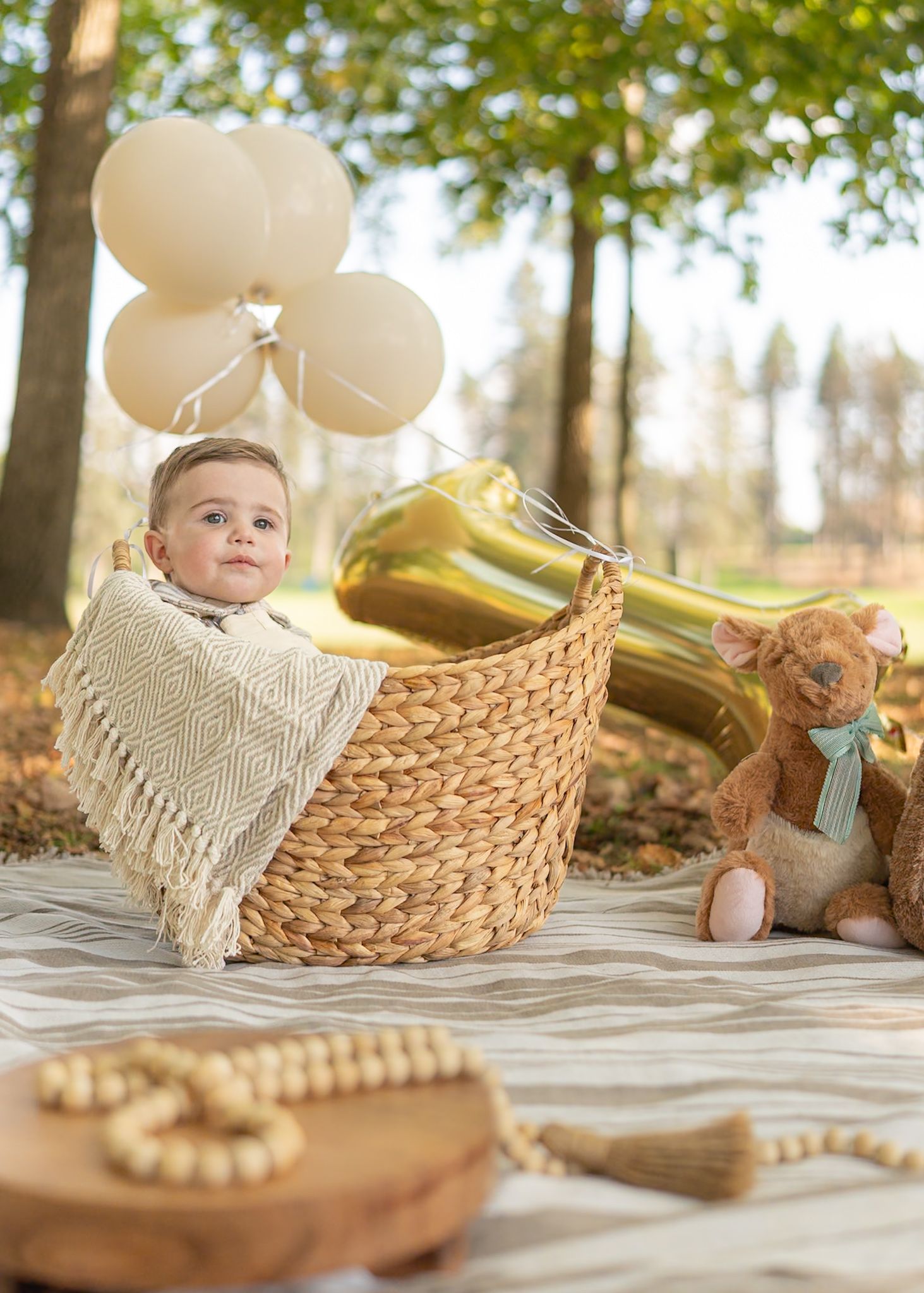 Rustic outdoor photo setup with woven basket, white blanket, and gold balloon decorations.