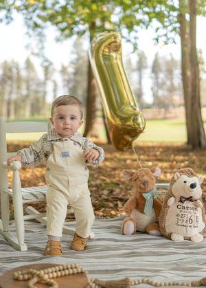 Autumn outdoor photo scene with wooden chair, plush toys, and gold balloon decorations.