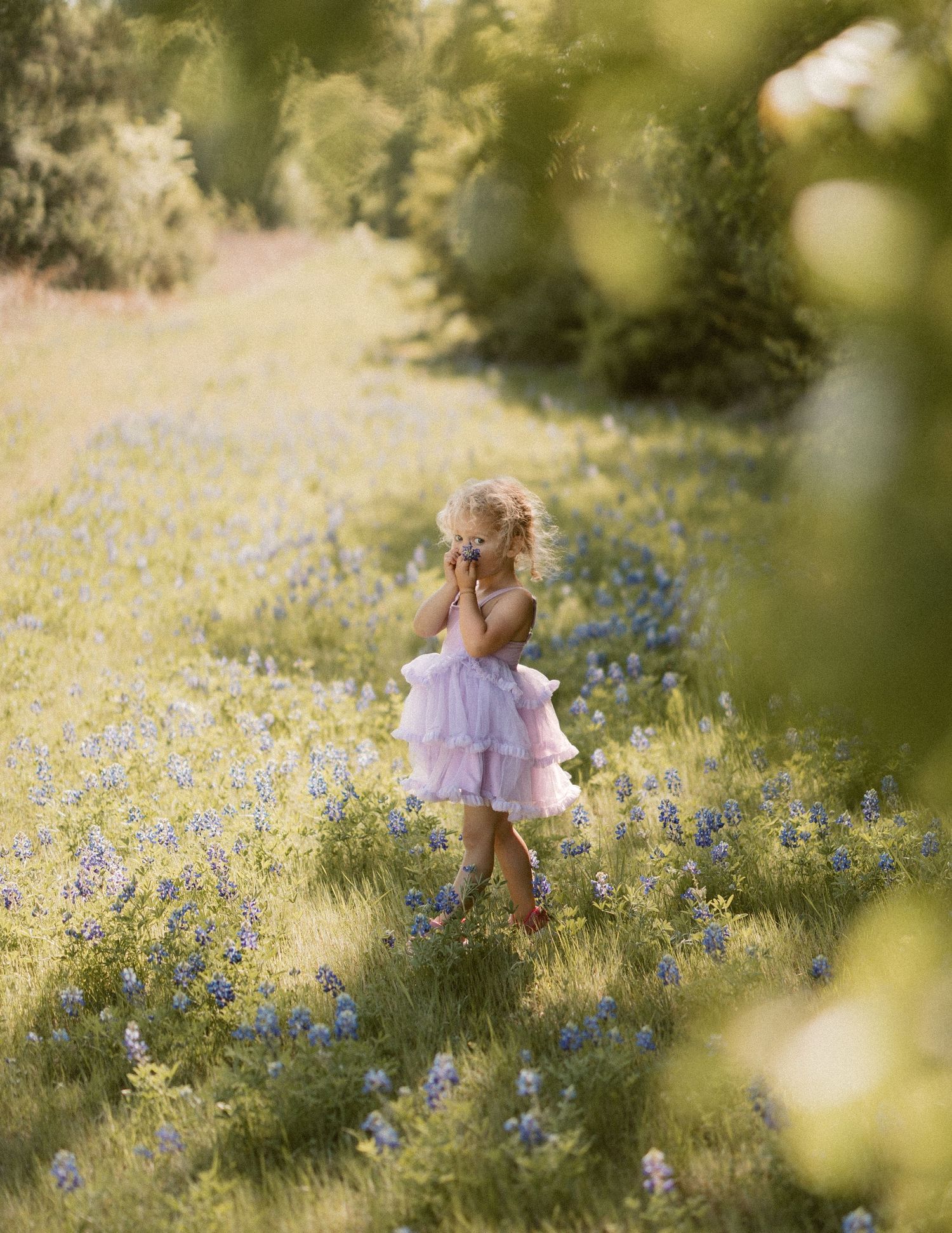 A young girl in a pink dress walks through a field of bluebonnets surrounded by lush green trees.