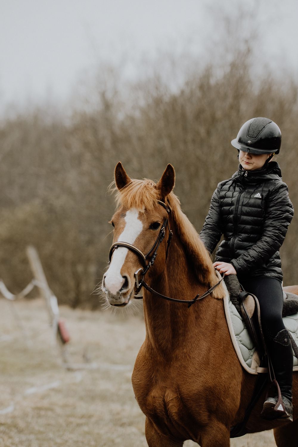 A person wearing black winter clothing rides a chestnut brown horse in a misty outdoor setting.