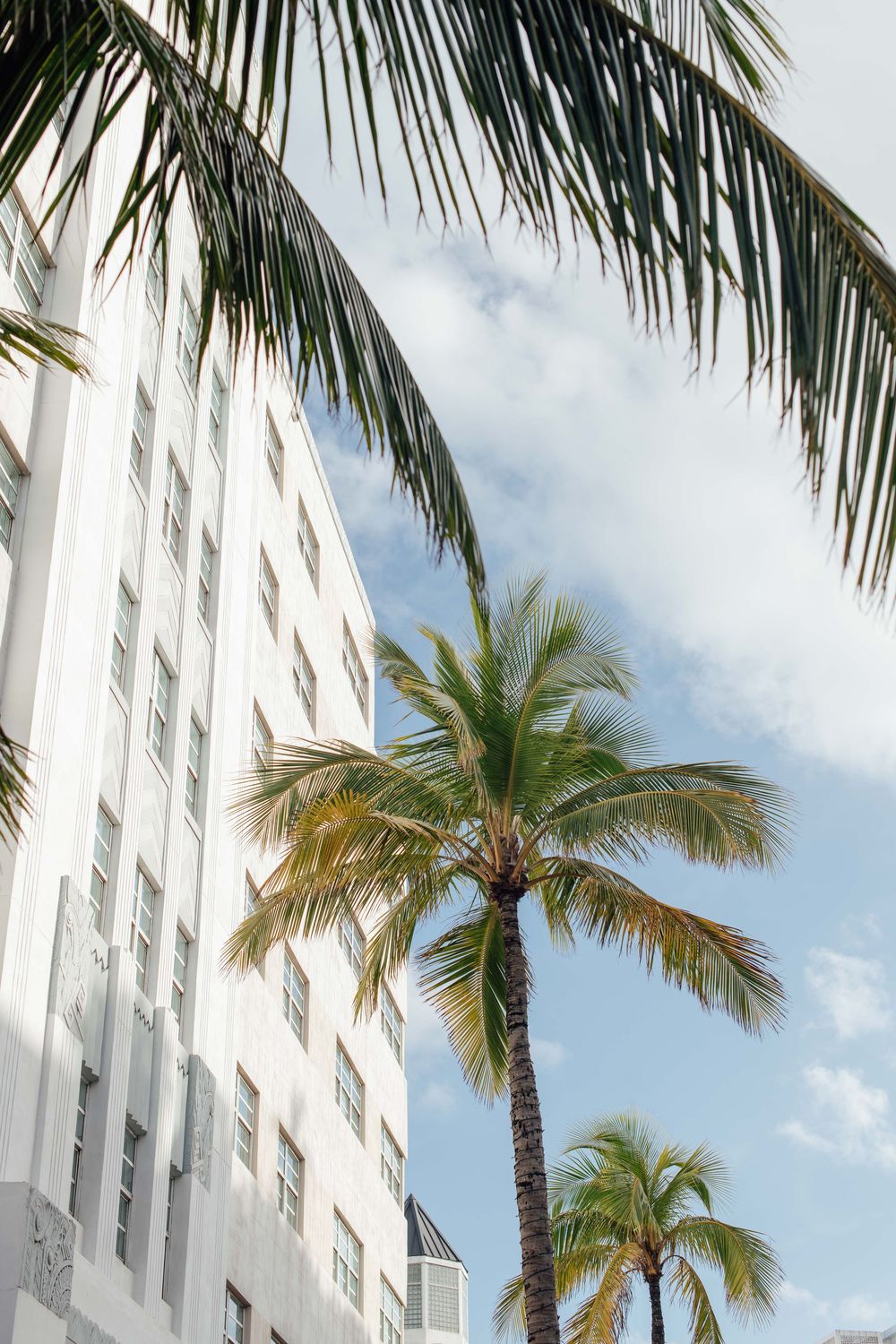 Low angle view of white Art Deco building with tropical palm trees against blue sky.
