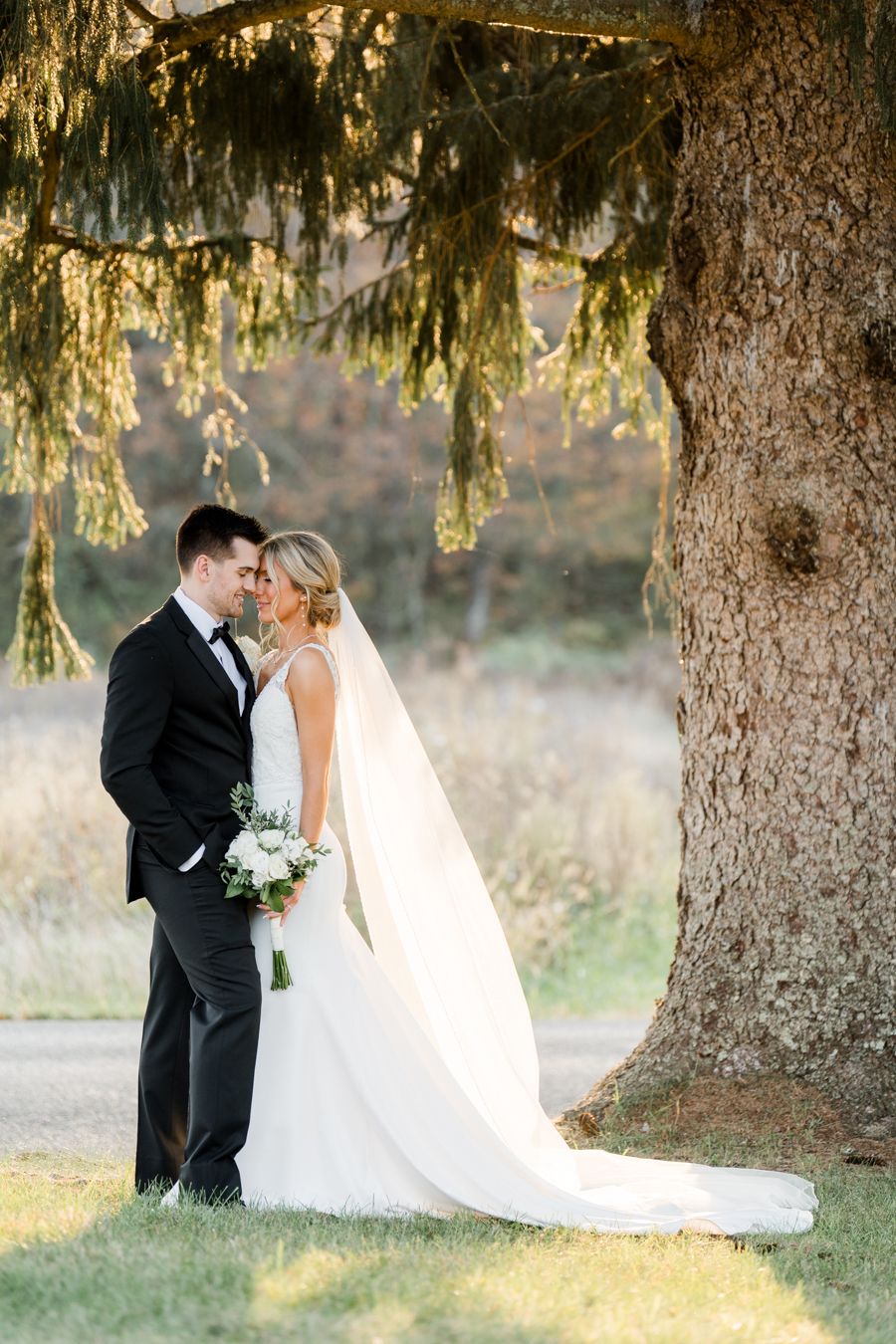 Bride and groom embracing under tree, candid film wedding photography captured at the Monarch Veil in Sarver PA